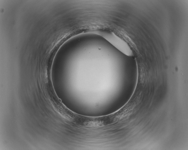 X0000067920251200604131416