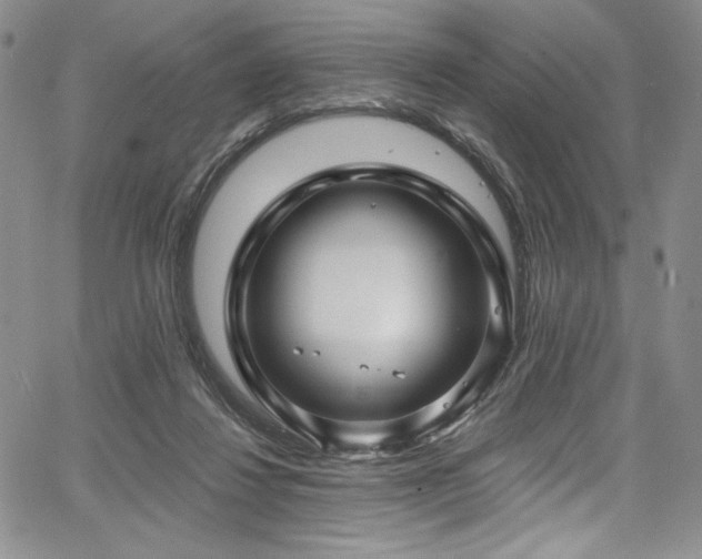 X0000067920260200604131416