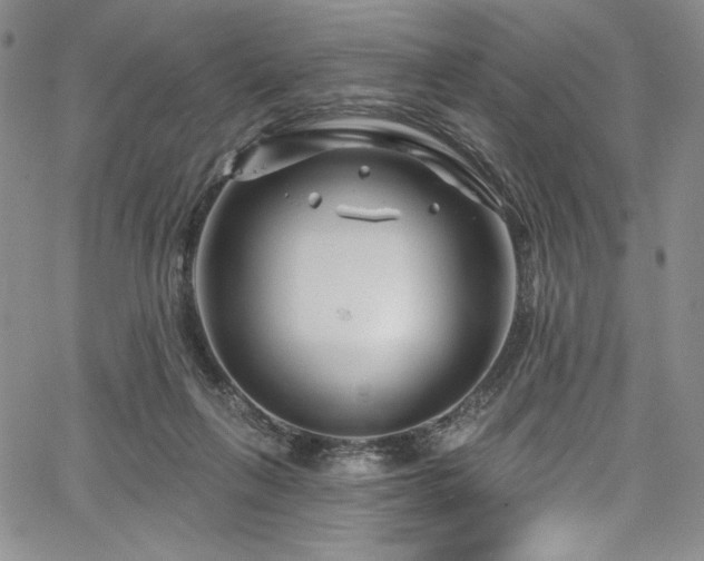 X0000067920263200604131416