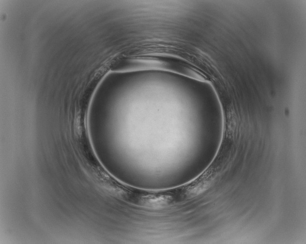 X0000067920267200604131416