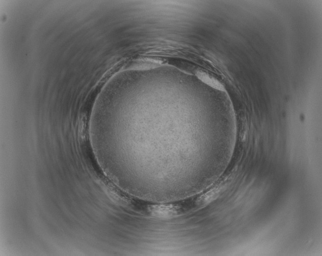 X0000067920273200604131416