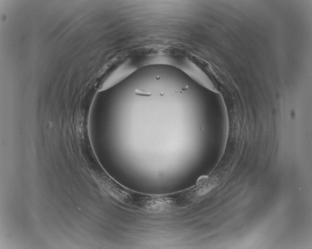 X0000067920274200604131416