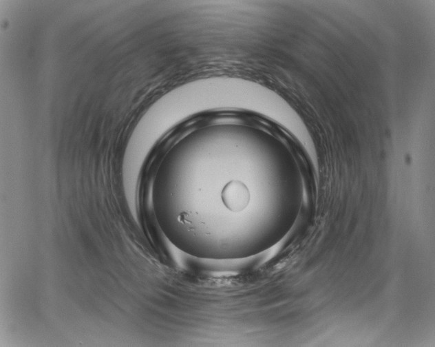 X0000067920276200604131416
