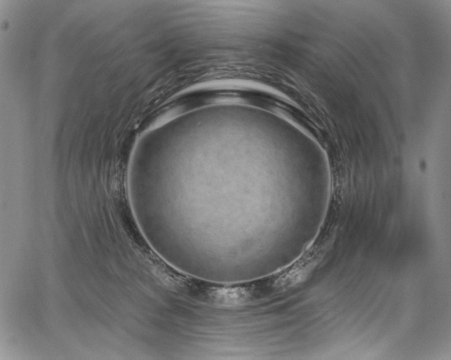 X0000067920277200604131416