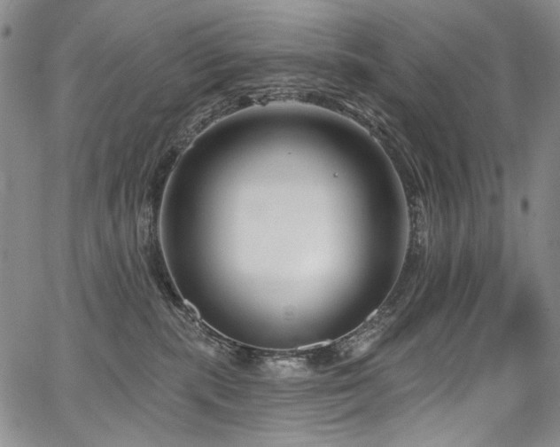X0000067920283200604131416