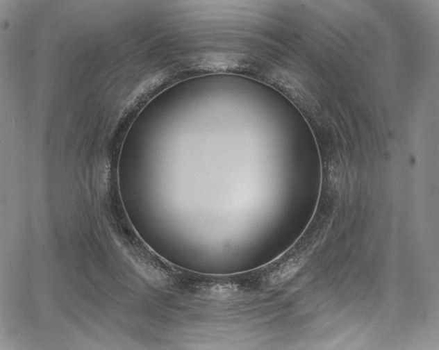 X0000067920304200604131415