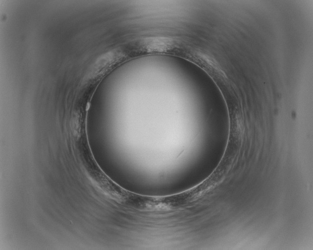 X0000067920311200604131415