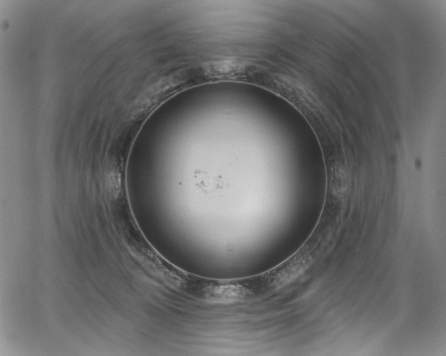 X0000067920324200604131415