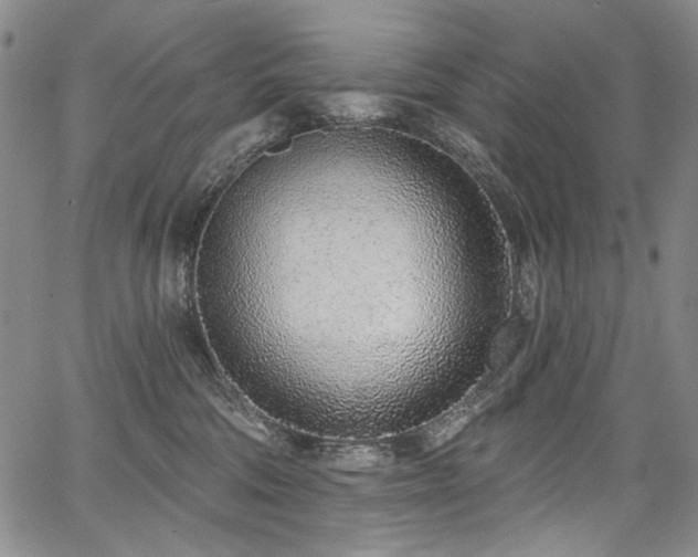 X0000067920330200604131415