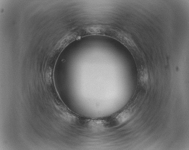 X0000067920332200604131415