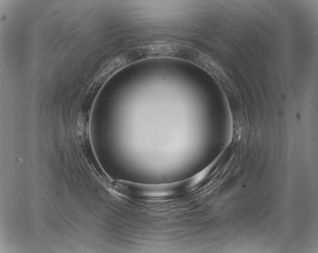 X0000067920333200604131415