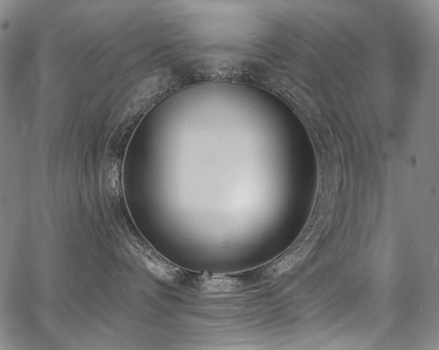 X0000067920336200604131415
