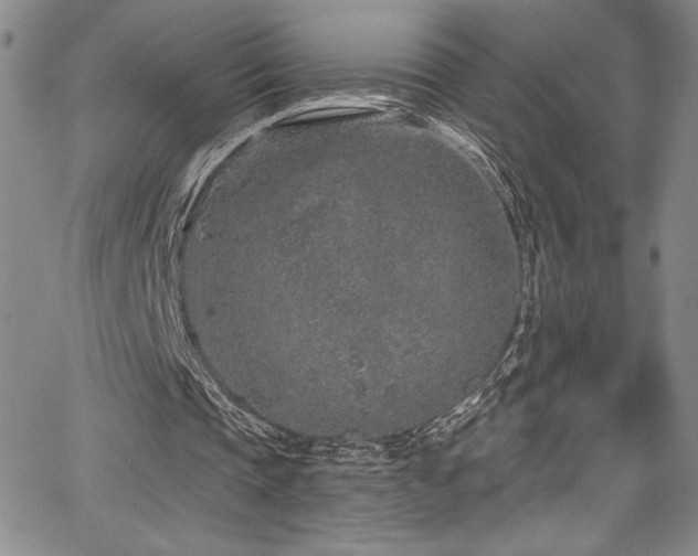 X0000067920337200604131414