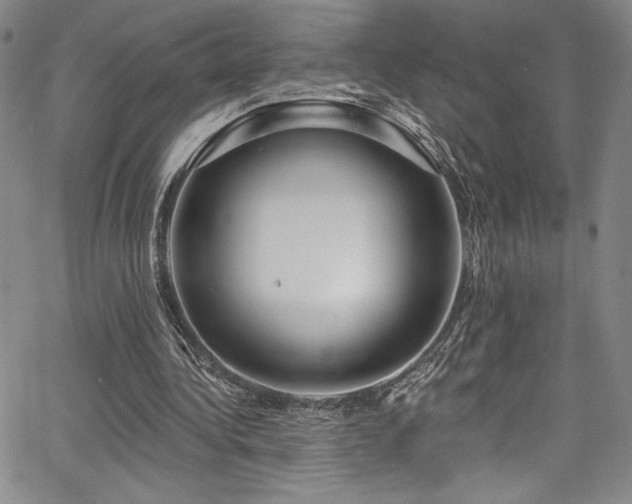 X0000067920340200604131414