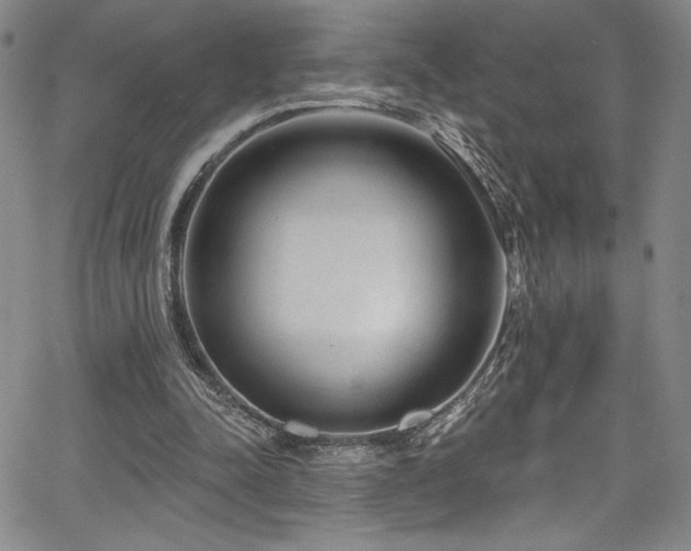 X0000067920342200604131414