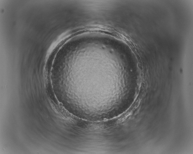 X0000067920343200604131414