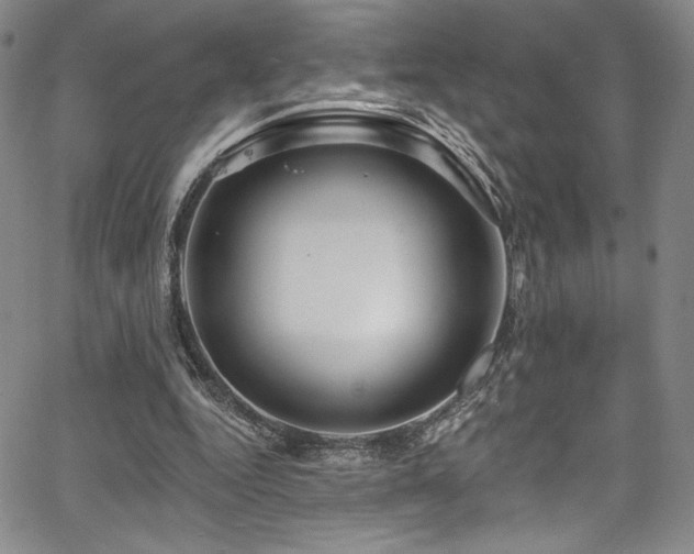 X0000067920344200604131414