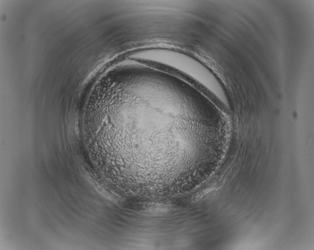 X0000067920347200604131414