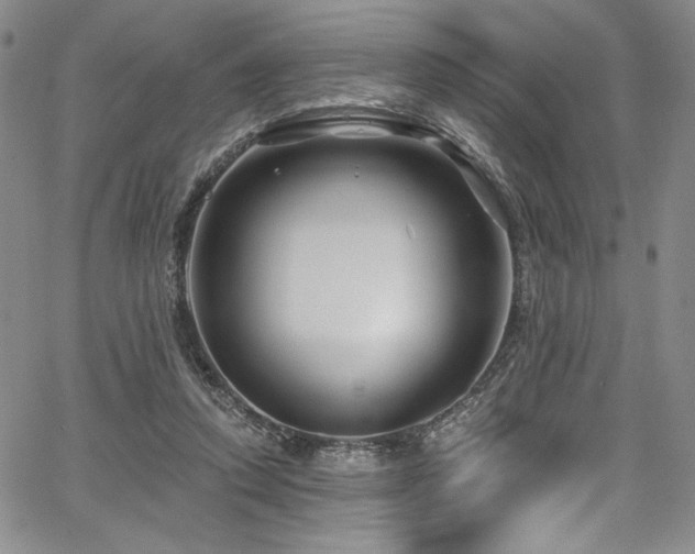 X0000067920354200604131414