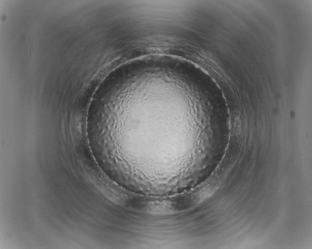 X0000067920363200604131414