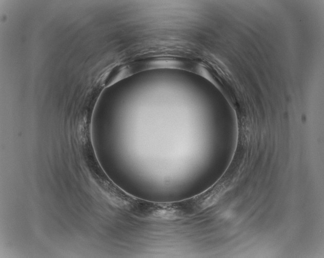X0000067920364200604131414