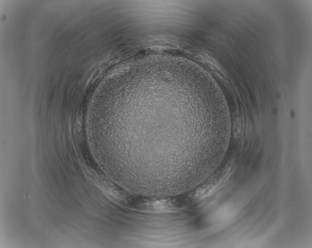 X0000067920365200604131414