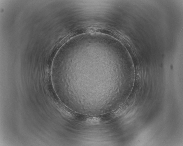 X0000067920369200604131415