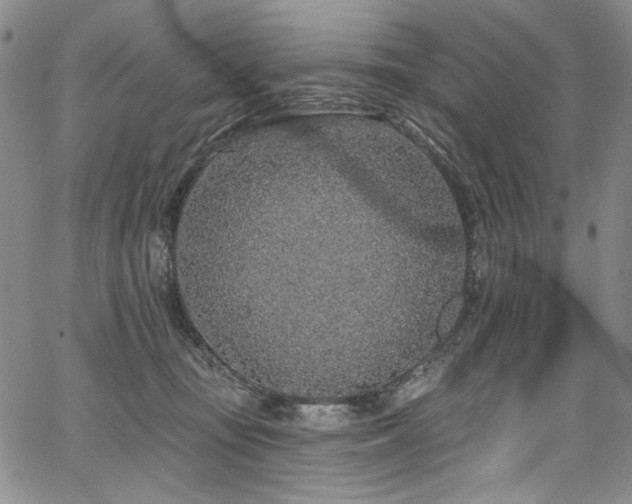 X0000067920371200604131415