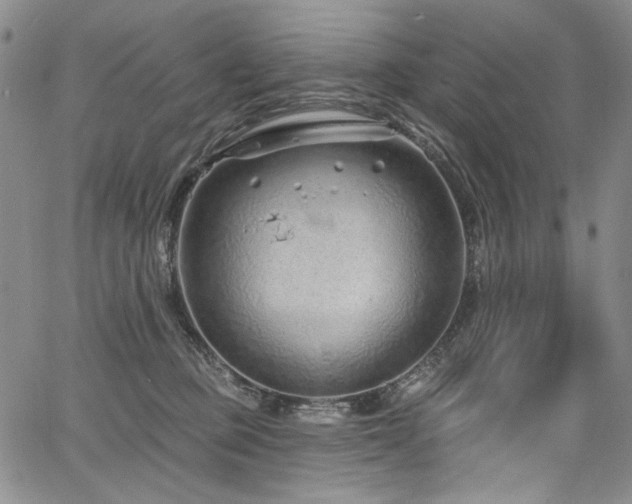 X0000067920373200604131415