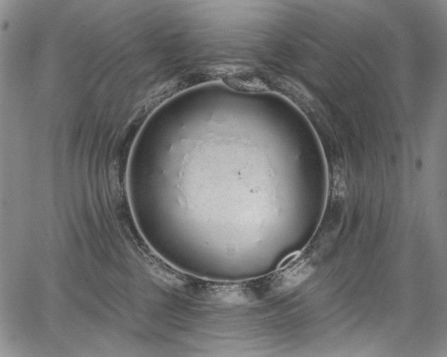 X0000067920377200604131415