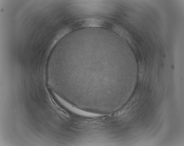 X0000067920386200604131414