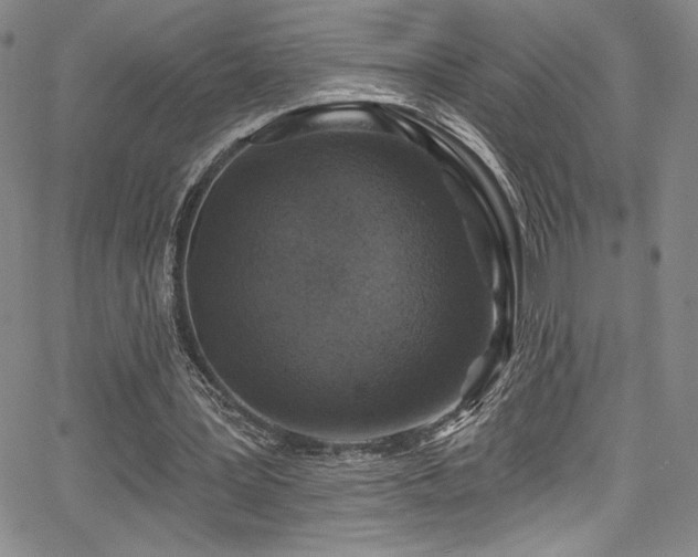 X0000067920387200604131414