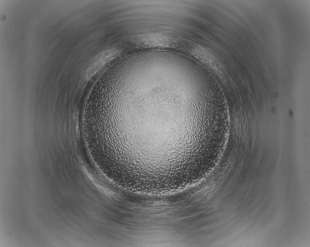 X0000067920398200604131414