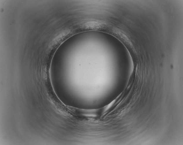 X0000067920403200604131414
