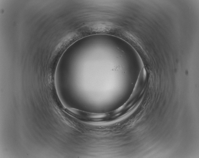 X0000067920407200604131414