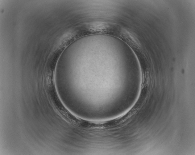 X0000067920408200604131414