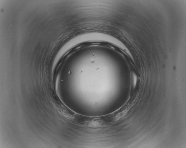 X0000067920412200604131414