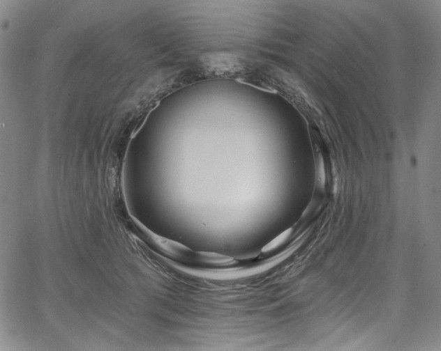 X0000067920417200604131413