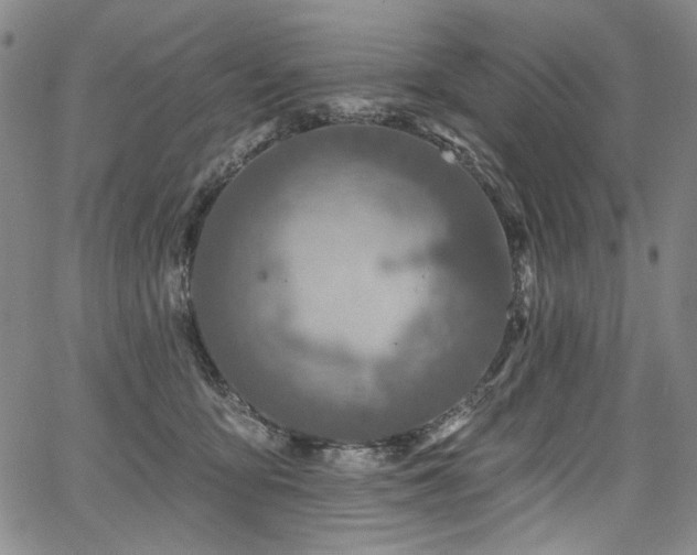 X0000067920419200604131413