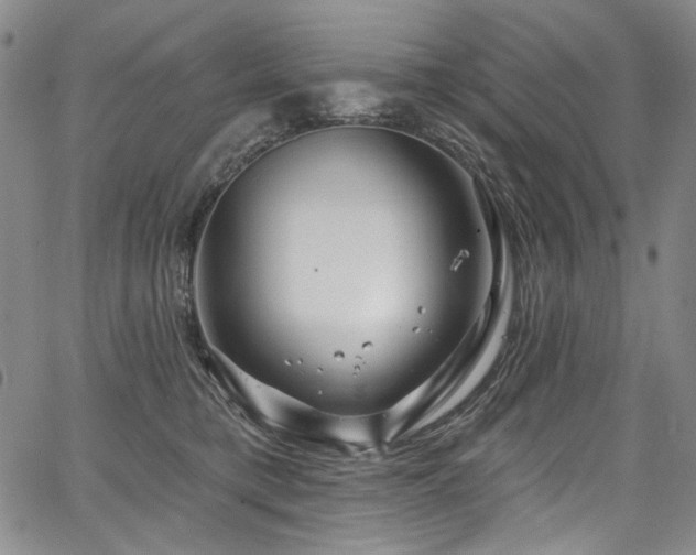 X0000067920421200604131413
