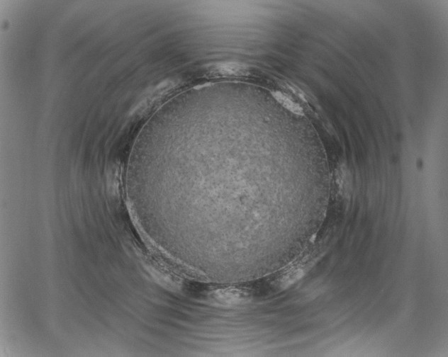 X0000067920423200604131413