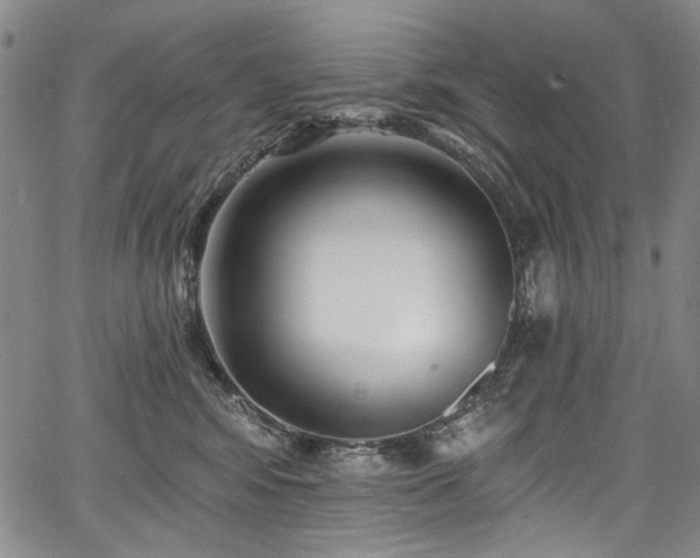 X0000067920424200604131413