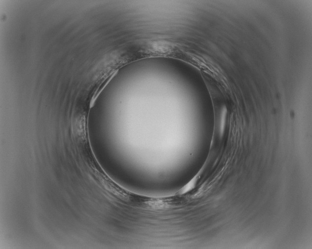 X0000067920425200604131413