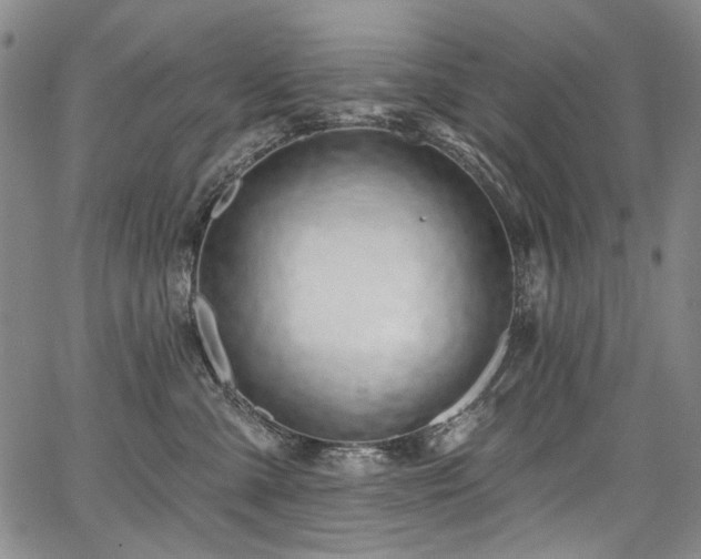 X0000067920427200604131413