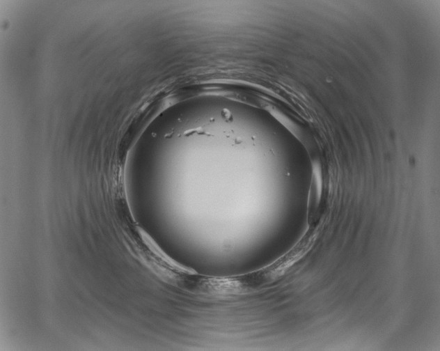 X0000067920429200604131413