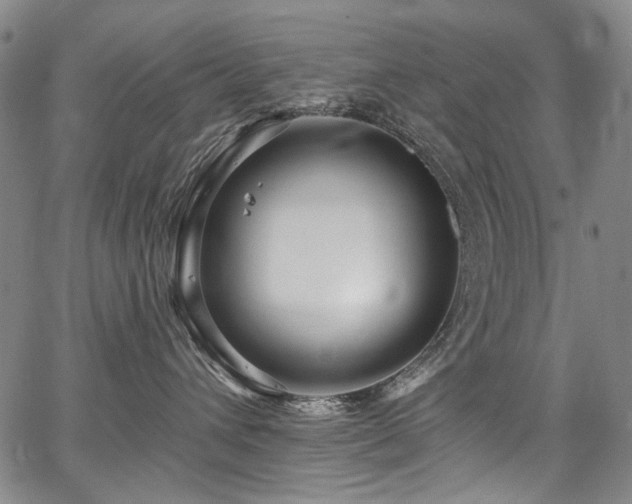 X0000067920432200604131413