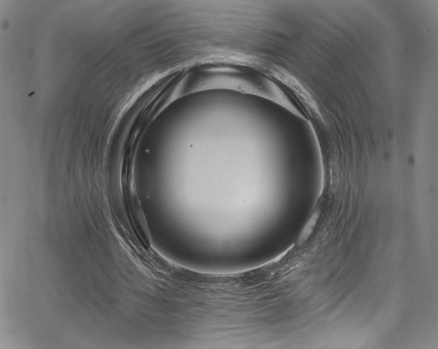 X0000067920436200604131412