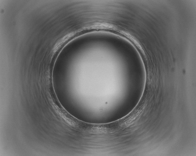 X0000067920437200604131412