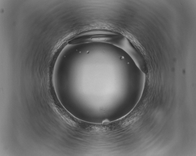 X0000067920442200604131413