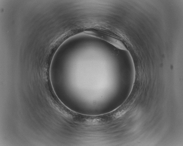 X0000067920450200604131413